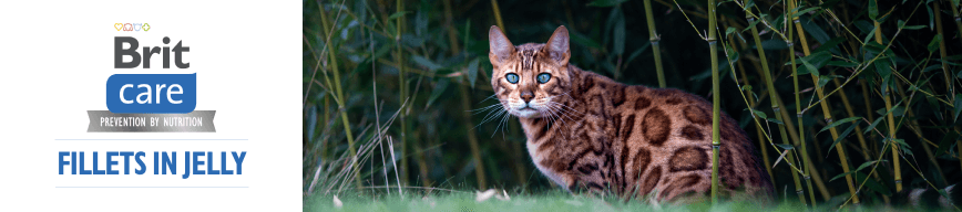 Brit Care Cat Fillets in Jelly